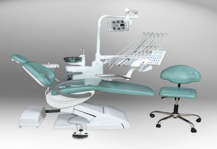 Daisy on the Ohoopee