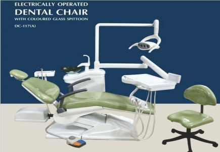 Daisy on the Ohoopee