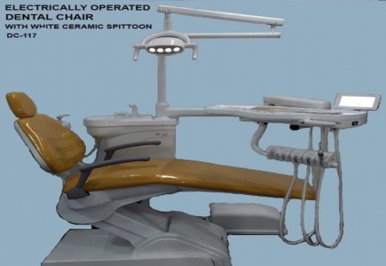 Daisy on the Ohoopee